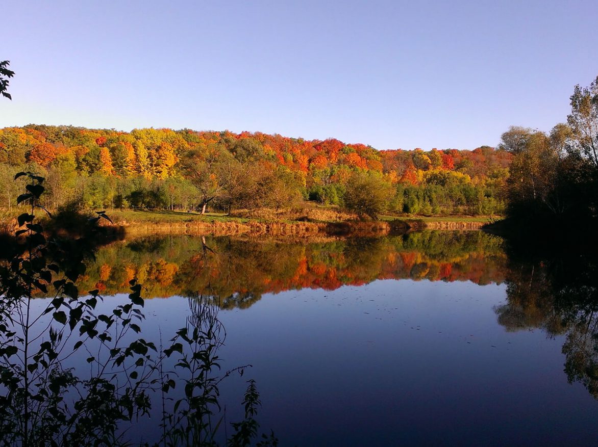 A lake surrounded by trees in the fall.